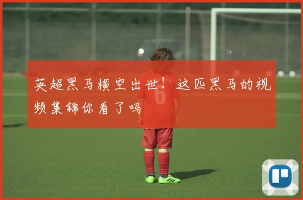 英超黑马横空出世!这匹黑马的视频集锦你看了吗