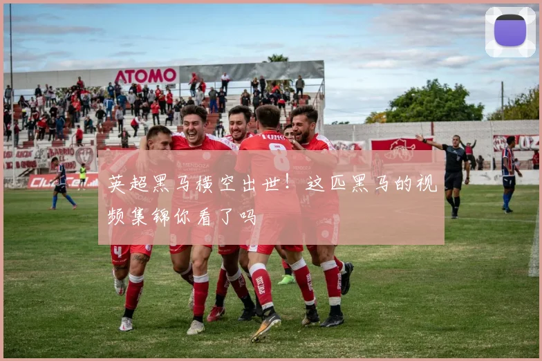 英超黑马横空出世!这匹黑马的视频集锦你看了吗